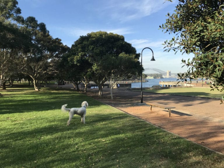 Mort Bay Park 1 86 768x576