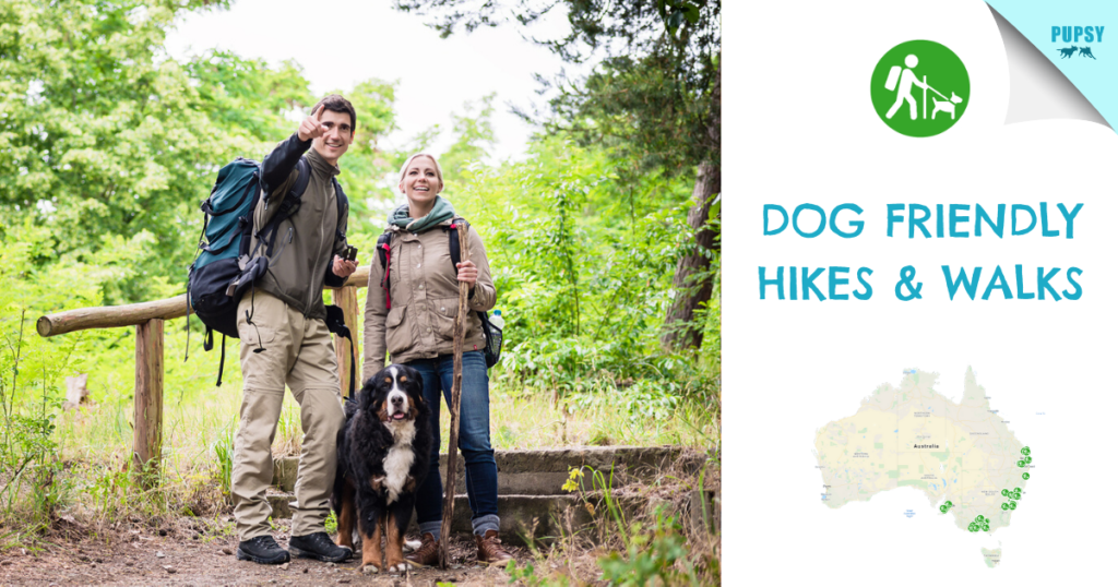 Dog friendly Hikes & Walks Directory Page 5 of 10 Pupsy