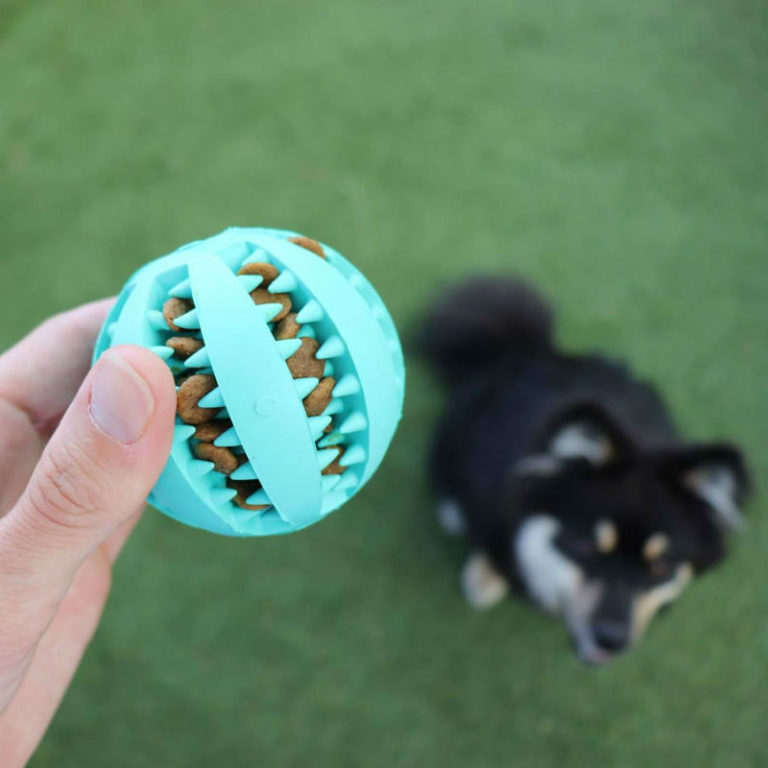 furry ball dog toy