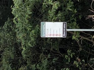 681D0AE2 0E2F 4CEF B86F E307F2B7BE74 300x225