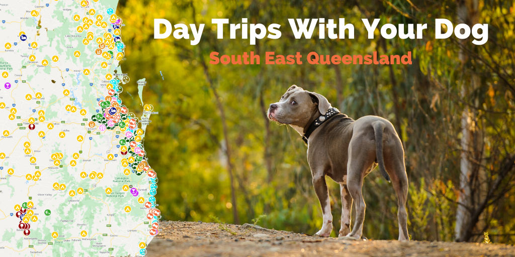 Day Trips South East Queensland