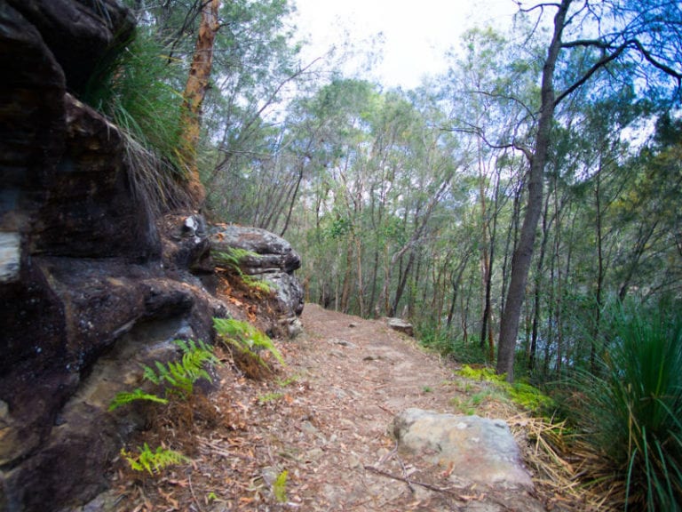 Two Creek Track 768x576