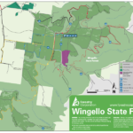 Wingello State Foirest 2 150x150