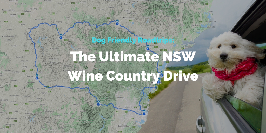 dog-friendly-roadtrips-nsw-wine-country-drive