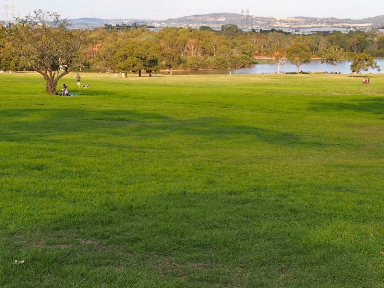 Jells Park dog friendly walk 768x576