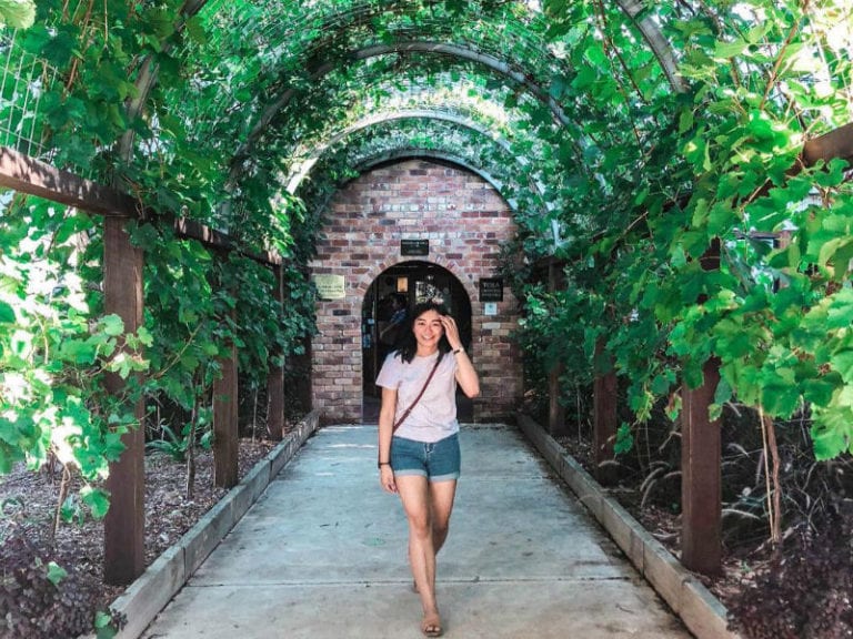 Tamburlaine Organic Wines 4 86 768x576