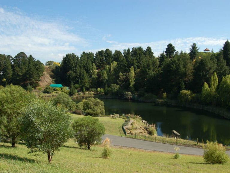 Wilson Botanic Park 86 768x576