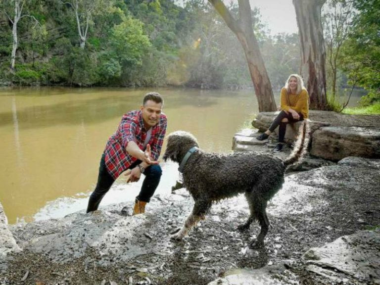 Yarra Bend Park 86 768x576