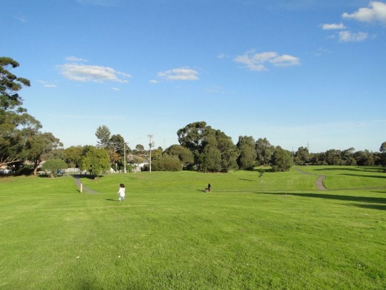 Bald Hill Park 768x577