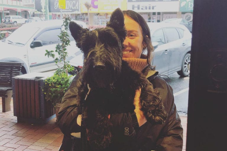 Brinx Deli 6 96 768x512