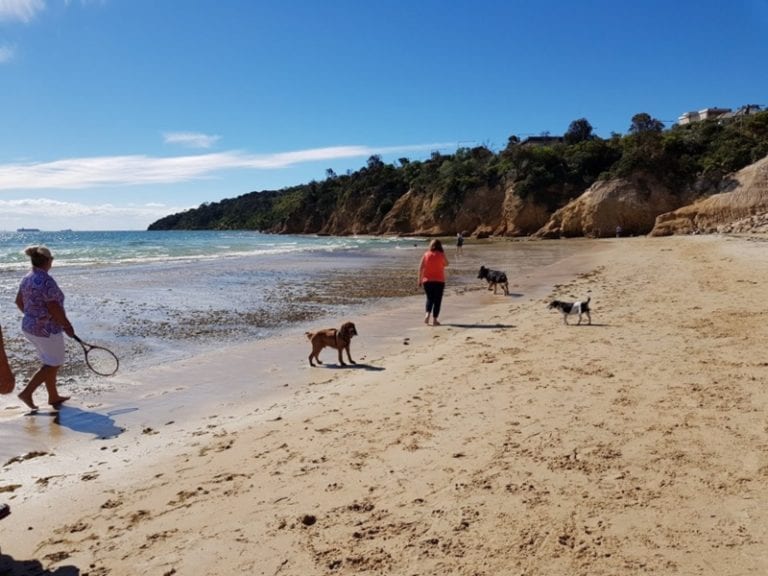 Safety Beach 1 768x576