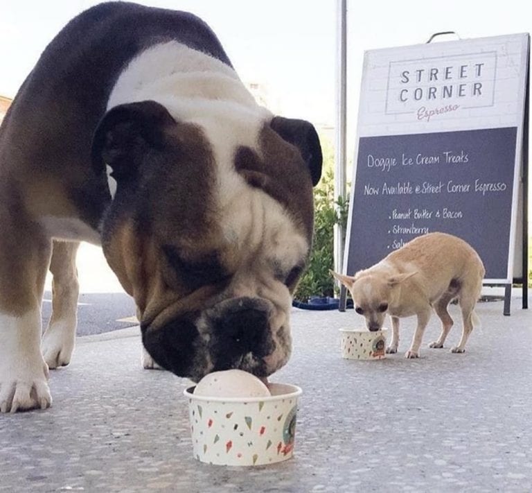 Street Corner Espresso 1 768x711