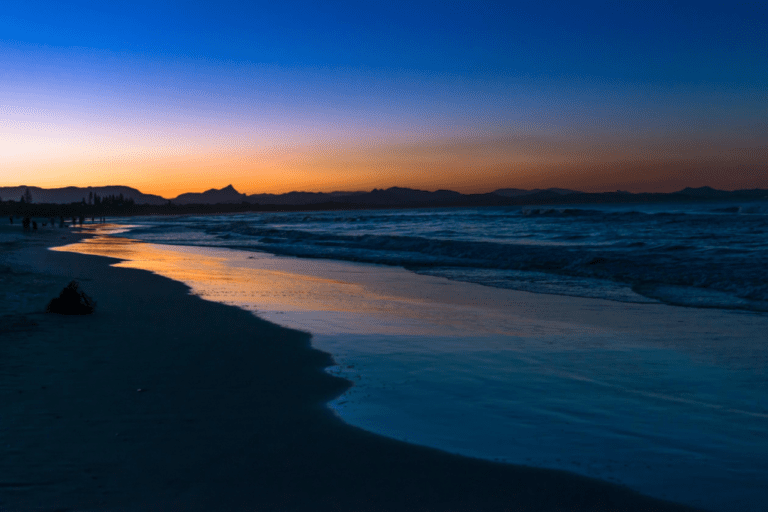 dog friendly belongil beach 768x512