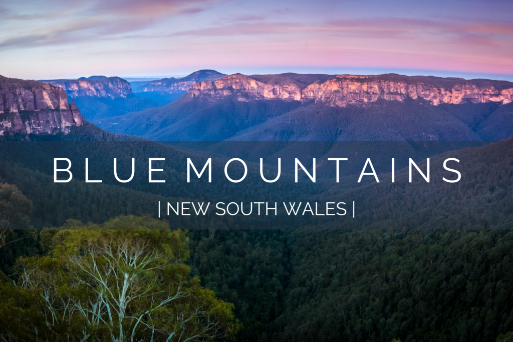 dog-friendly-blue-mountains