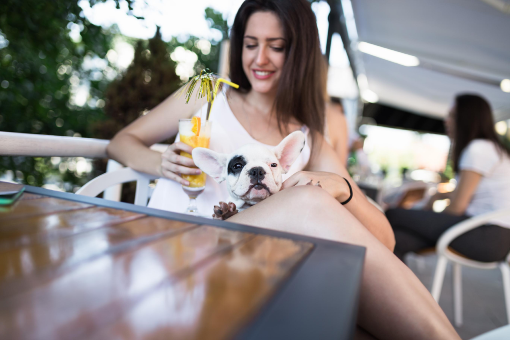 dog-friendly-brisbane-hero-mobile