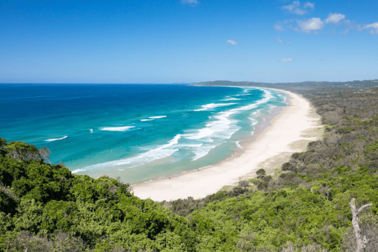 dog friendly tallow beach 96 768x512