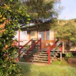noosa avalon cottages kangaroo lodge dog friendly accommodation 14 150x150
