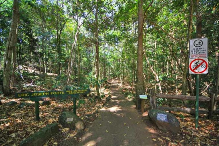 EJ Foote Sanctuary 768x512