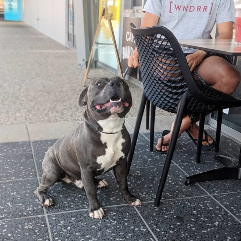 Cafe BAmbini Fairfiled 1 768x768