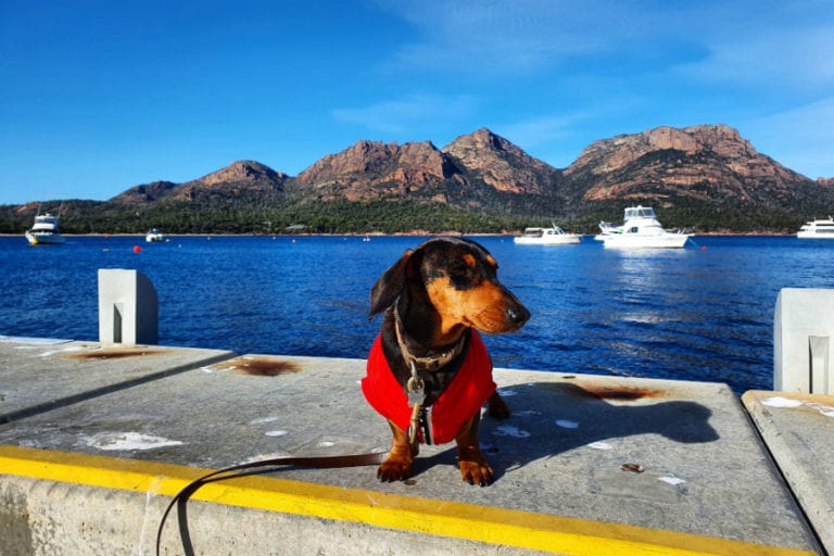 Coles Bay Foreshore 96 768x512