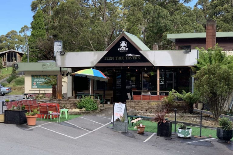 Fern Tree 5 96 768x512