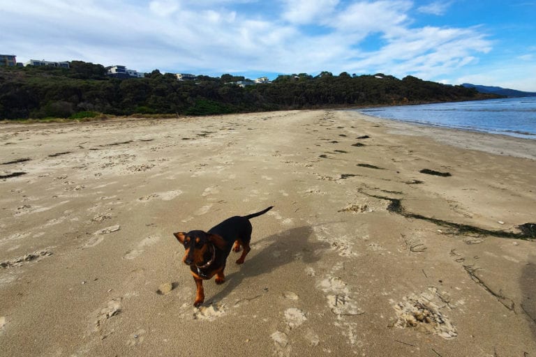 Foreshore of Hazards View 768x512