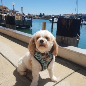 IMG 20201011 112407 885 300x300