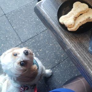 IMG 20201011 112407 890 300x300