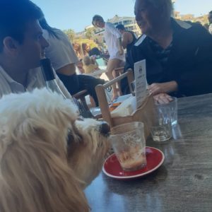 IMG 20201011 112407 893 300x300