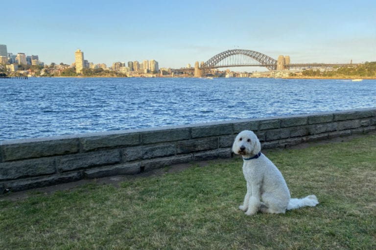 Lookes Avenue Reserve 96 768x512
