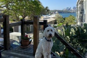 Lumi at Oasis 96 300x200