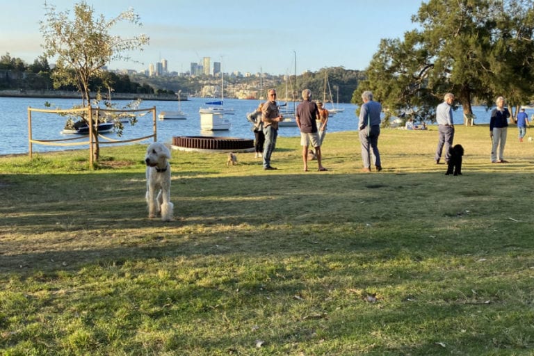 Propeller Park 10 96 768x512