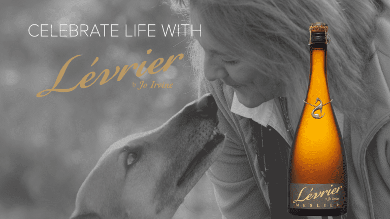 CDF 18 Levrier By Jo Irvine Big Screen Ad 768x432