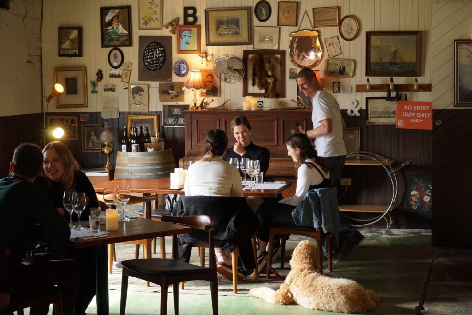 Dog Friendly Wineries In Clare Valley PUPSY
