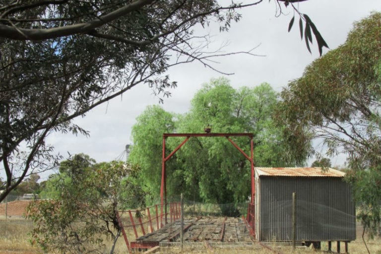 Pepper Tree Trail 1 768x512