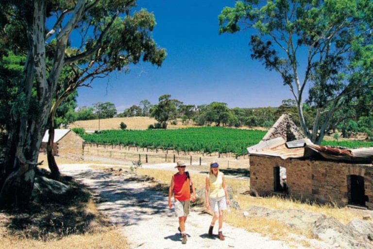 Riesling Trail 96 768x512