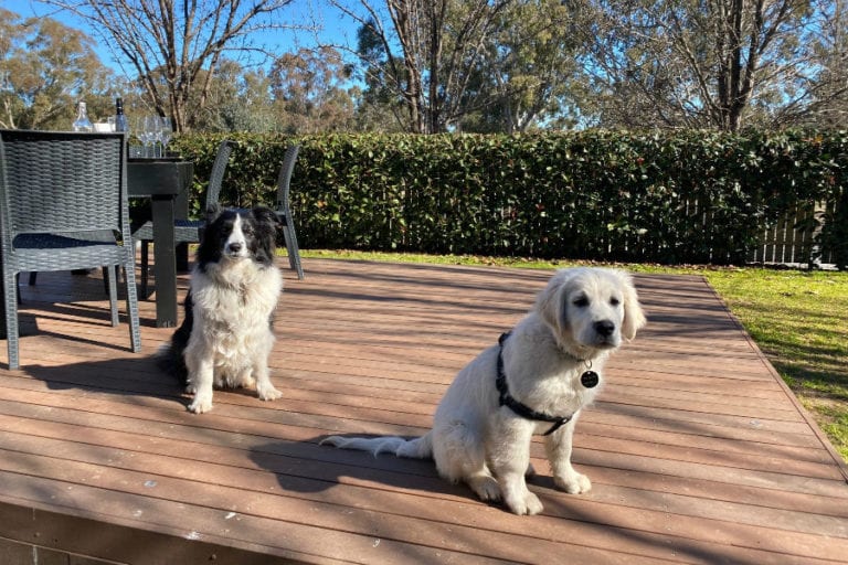 Sevenhill Hotel 1 768x512