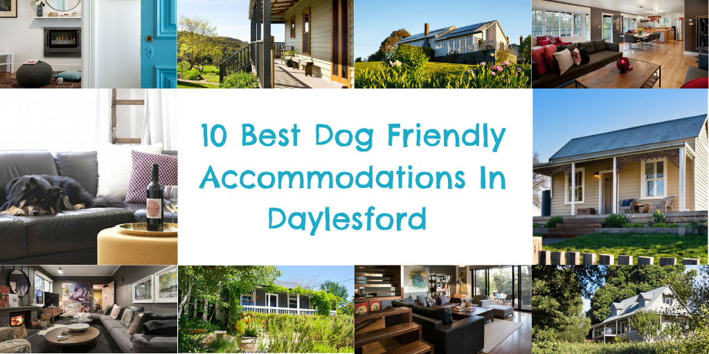 10 Best Dog Friendly Accommodations In Daylesford
