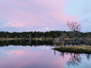 IMG 20200905 174617 300x225