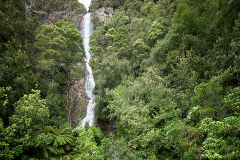 Montezuma Falls 768x512