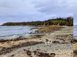 PXL 20201228 0514277973 300x225