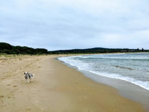 PXL 20201229 0050192162 300x225