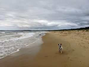 PXL 20201230 0005332002 300x225