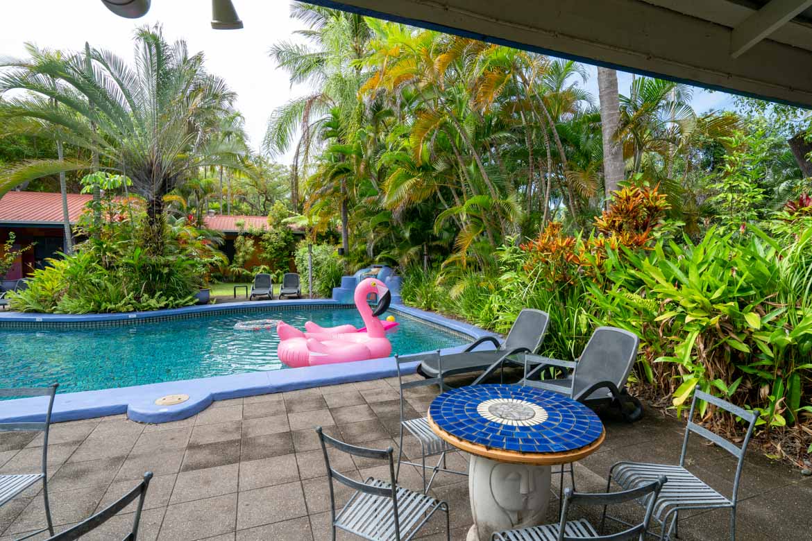 pink flamingo resort villa dog friendly accommodation 2