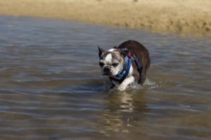 79C8B3B7 0075 46BD 9C73 9D56DB29AF85 300x200