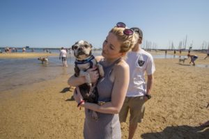 8EAE7900 2034 4FDE B631 38CEFA355D84 300x200