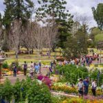 Botanic Gardens Toowoomba 2 150x150