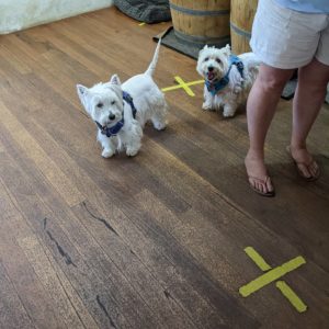 IMG 20210123 151037 122 300x300