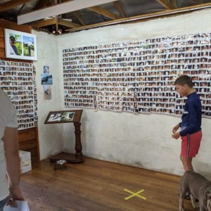 IMG 20210123 151037 353 300x300