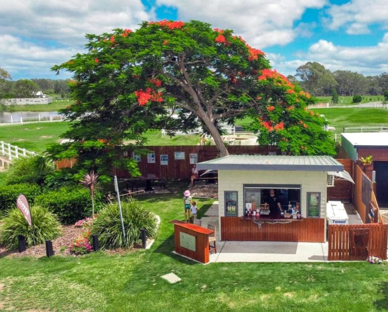 Rocks Cafe Griffin 6 768x619